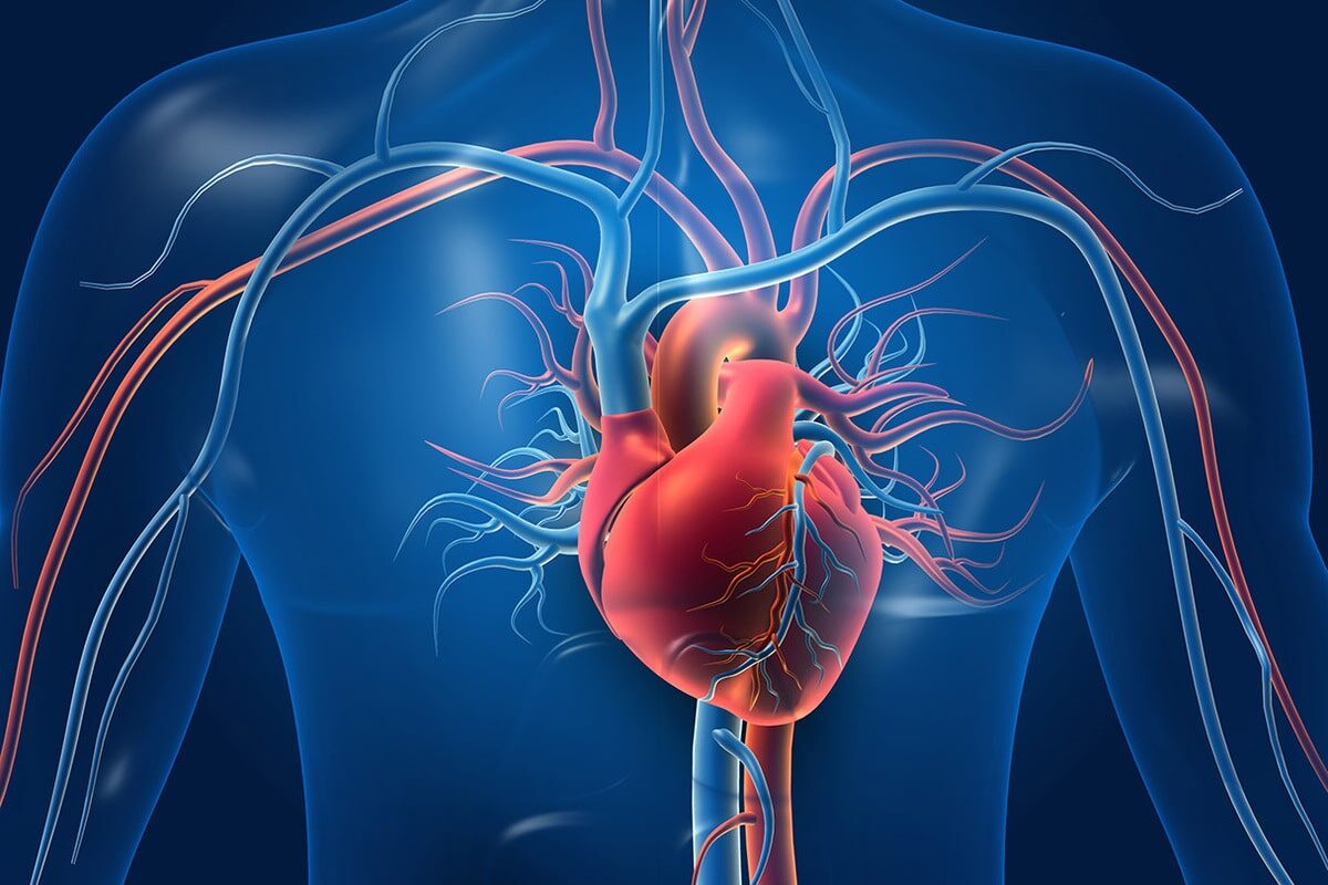Gene Mutation Downturns Heart Attack Risk