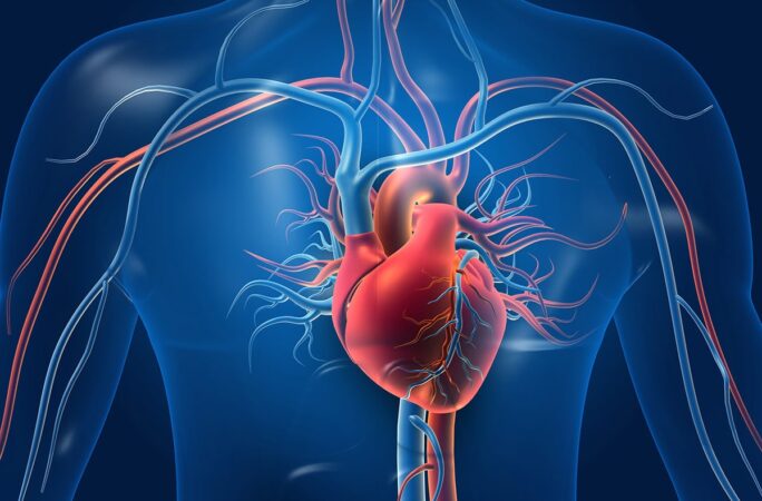 Gene Mutation Downturns Heart Attack Risk