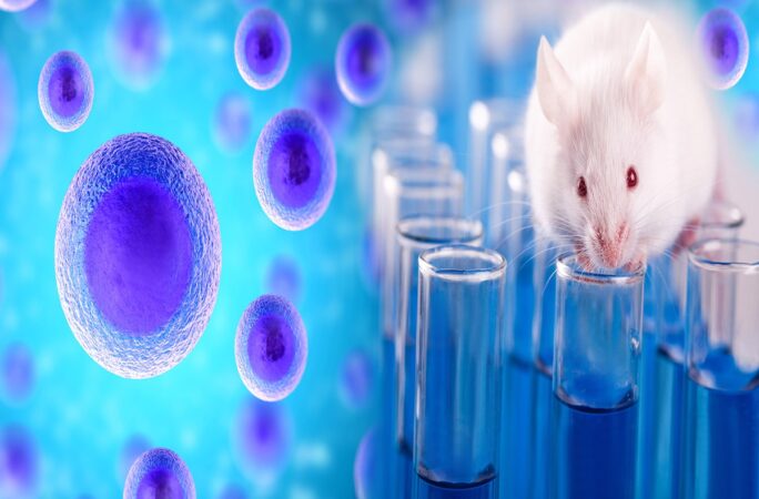 Common Barriers to Preclinical Studies
