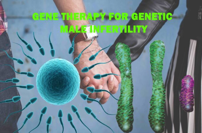 Gene Therapy for Genetic Male Infertility