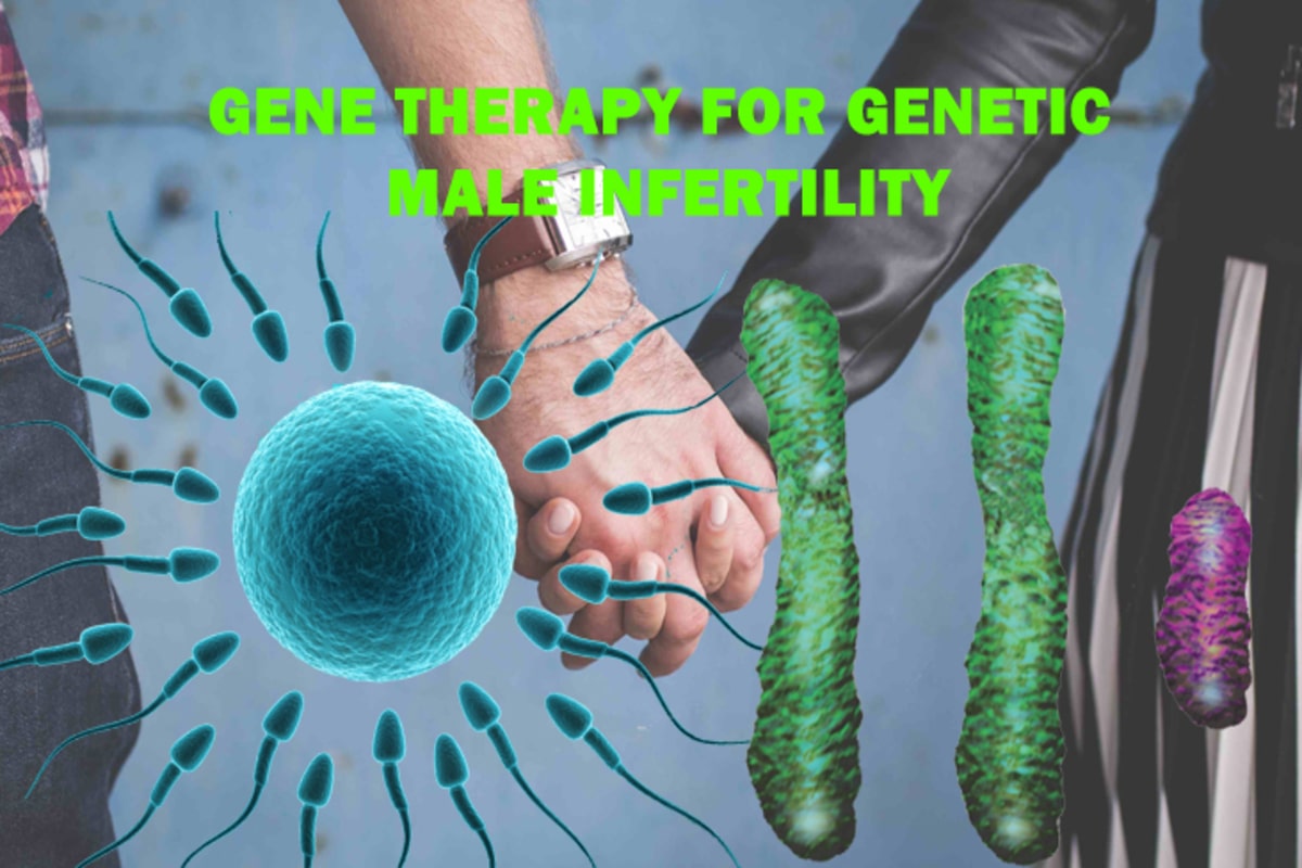 Gene Therapy for Genetic Male Infertility
