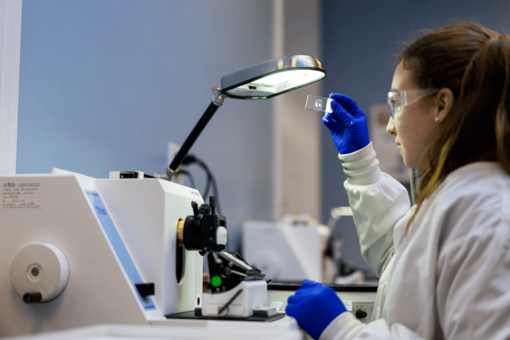 Histopathology Laboratory How to Choose the Best Stain for your Slides