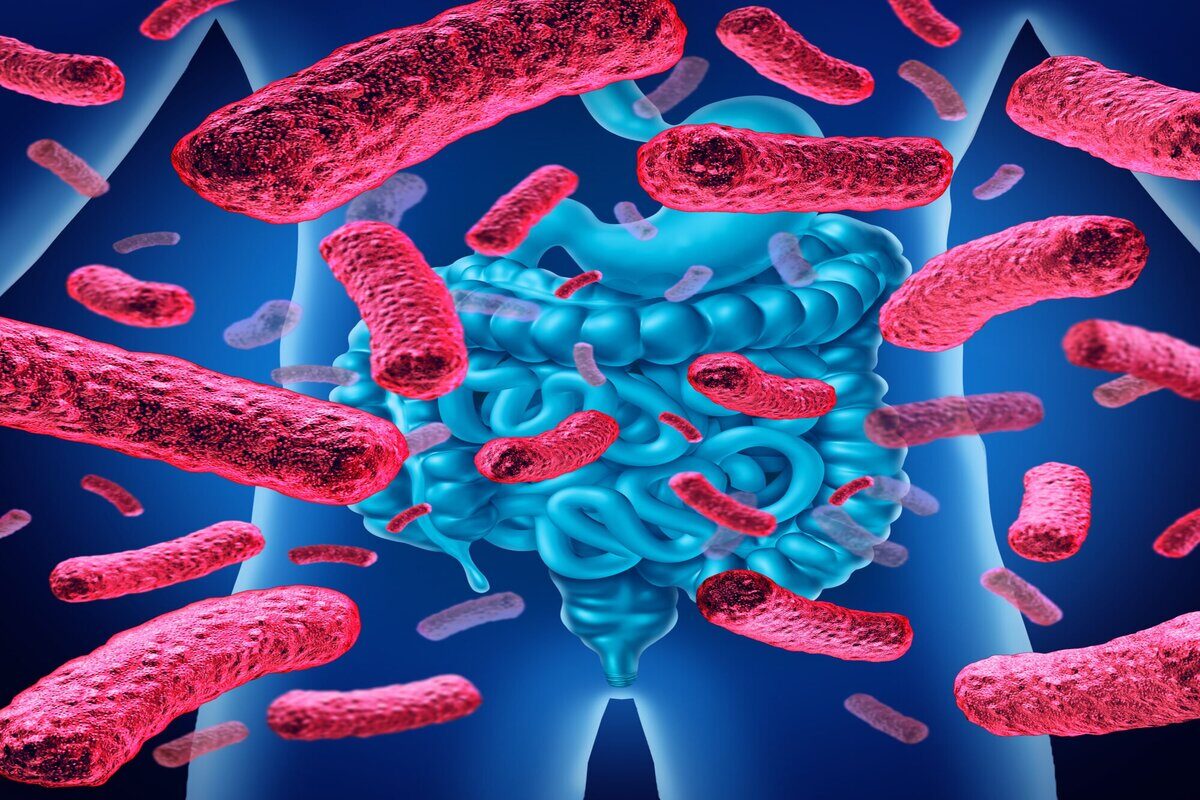 Intestinal Microbiota