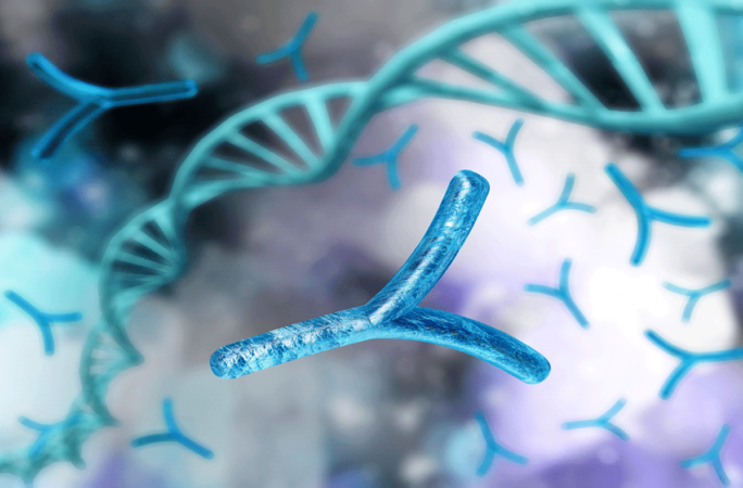 Loss of Y chromosomes