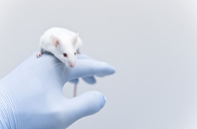 Preclinical Study